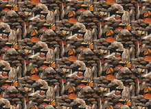 Обои с деревьями Rasch Allegretto 581225