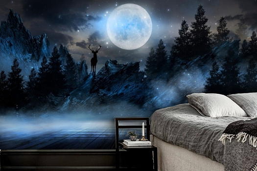 Фотообои в интерьере артикул AG-MN-002, Moon Night, Design Studio 3D