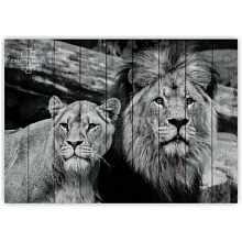 Панно с изображением льва Creative Wood ZOO ZOO - 34 Лев и львица чб