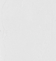 Обои для столовой Bernardo Bartalucci Gaga  84284-15