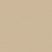 Alessandro Allori Bruni 1003-7 RBN