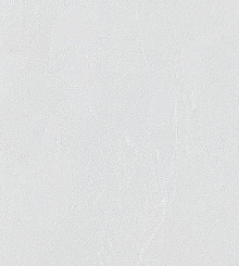 Обои для столовой Bernardo Bartalucci Gaga  84284-14